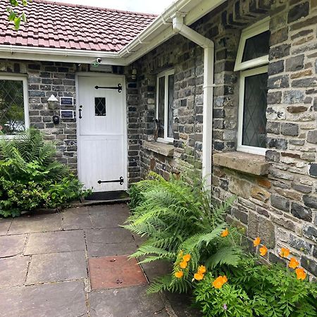 Cwmbach Guest House Нит Экстерьер фото