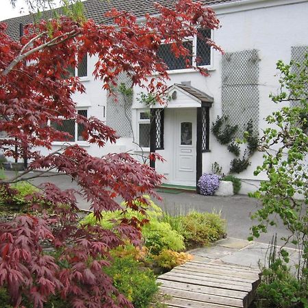 Cwmbach Guest House Нит Экстерьер фото