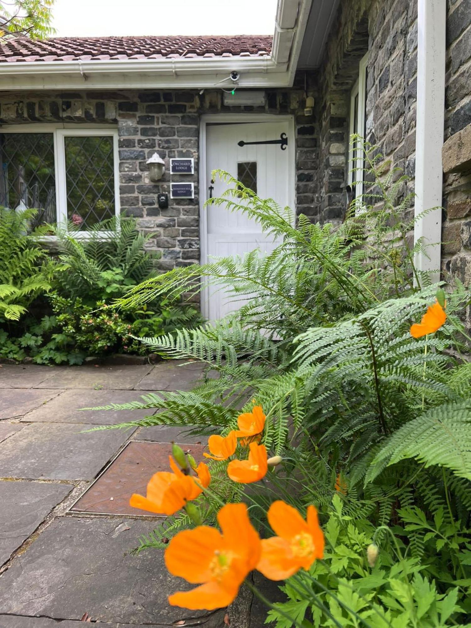 Cwmbach Guest House Нит Экстерьер фото